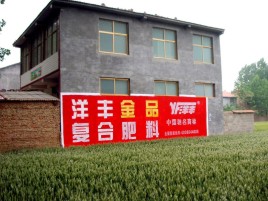  兴仁如何让墙体广告展现最大化效果