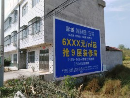  兴仁墙体广告质量分析