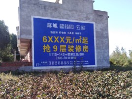兴仁品牌公司青睐的墙体广告