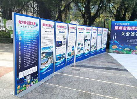  兴仁KT板的种类和知识。